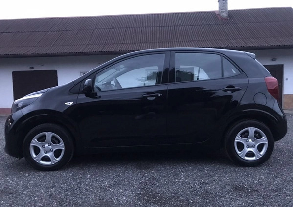 Kia Picanto cena 49900 przebieg: 4770, rok produkcji 2022 z Sompolno małe 407